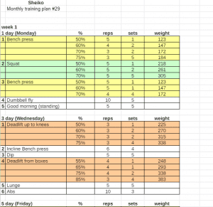 Sheiko Program: 24+ Spreadsheets With Powerlifting and Hypertrophy Routines