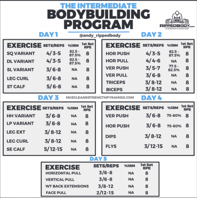 5 Day Intermediate Bodybuilding Program by Ripped Body: The Smart ...