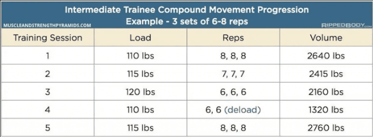 5 Day Intermediate Bodybuilding Program by Ripped Body: The Smart ...