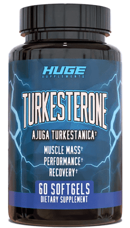 Turkesterone by HugeSupplements