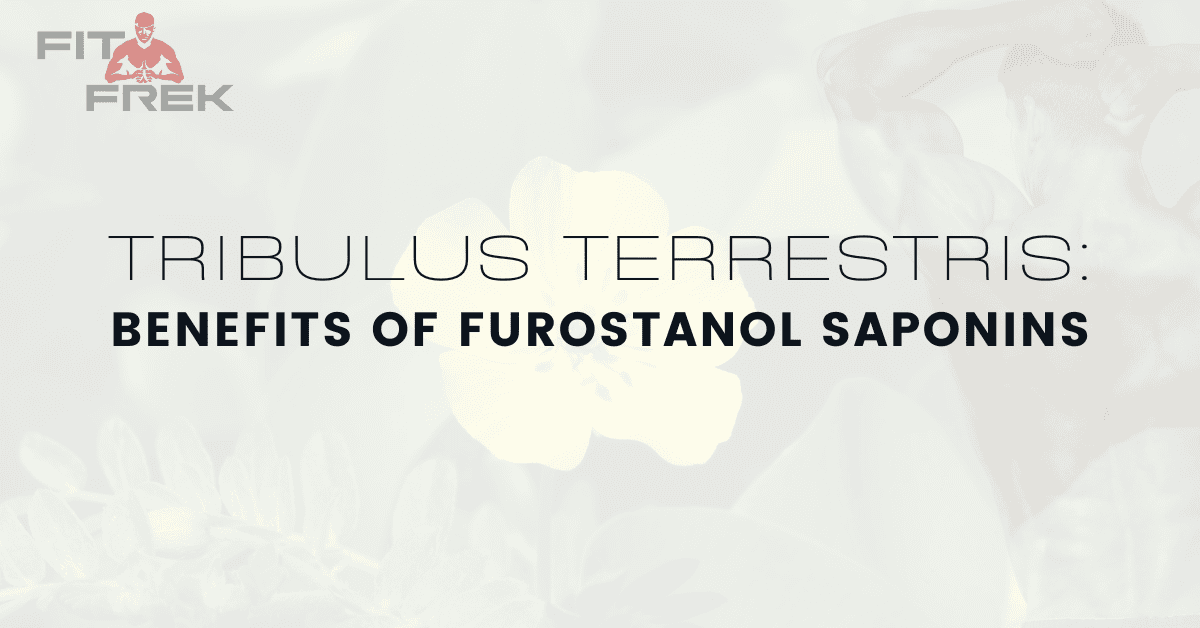 Tribulus Terrestris Benefits of Furostanol Saponins FitFrek